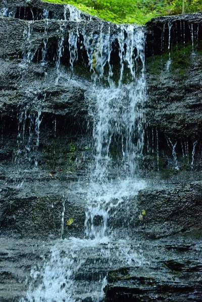 DSC_2784 (Large).JPG